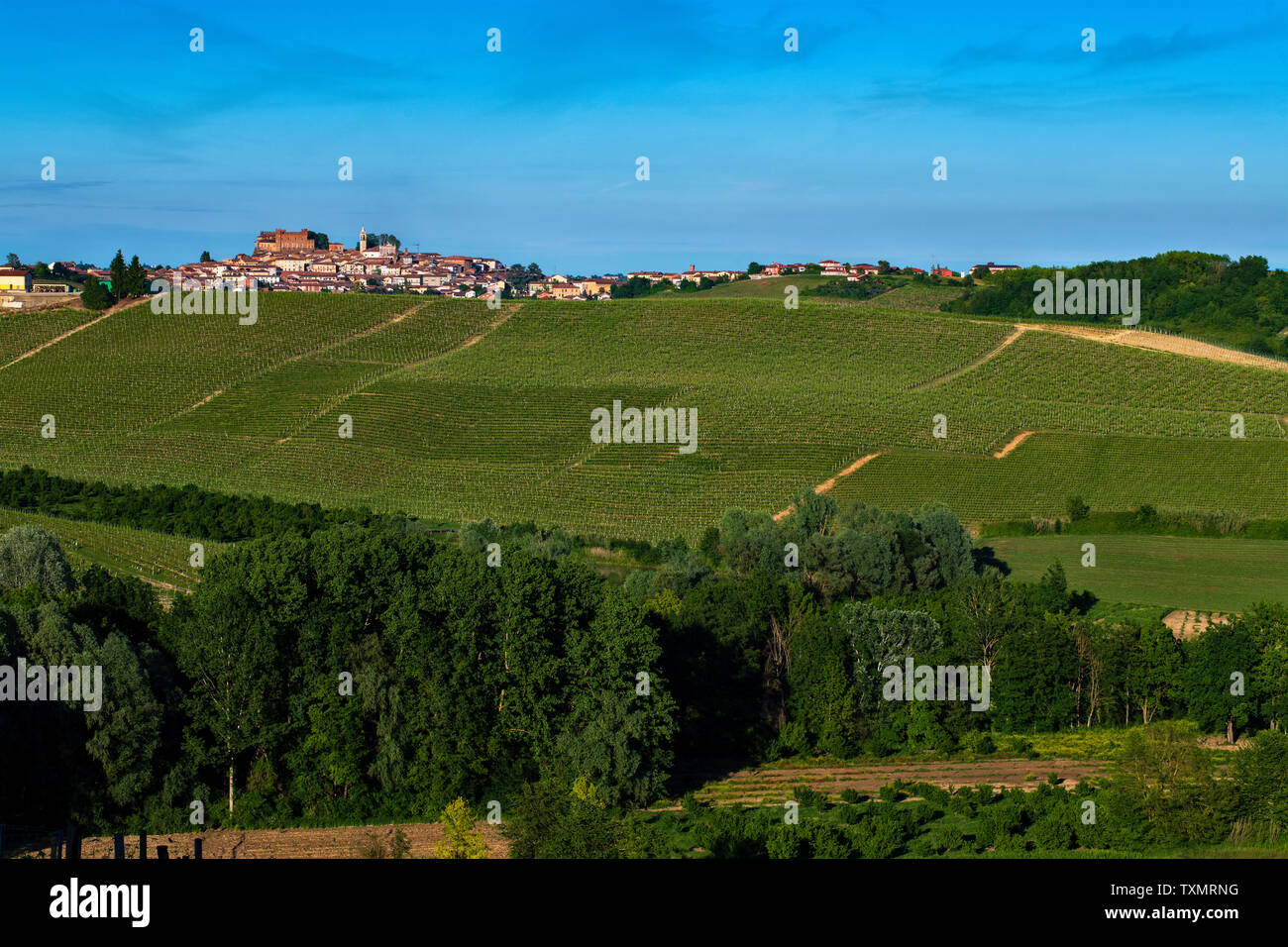 Castagnole piemonte Fotos und Bildmaterial in hoher Auflösung Alamy