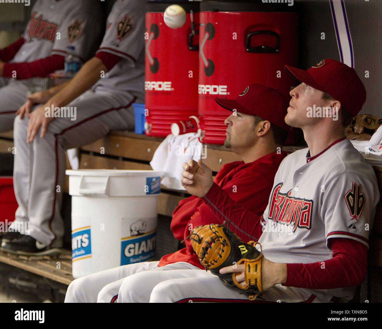 Arizona Diamondbacks infielder Rusty Ryal flips eine Kugel, während im Dugout während des Spiels gegen die Colorado Rockies sitzen an Coors Field in Denver am 25. Mai 2010 in Denver. UPI/Gary C. Caskey Stockfoto