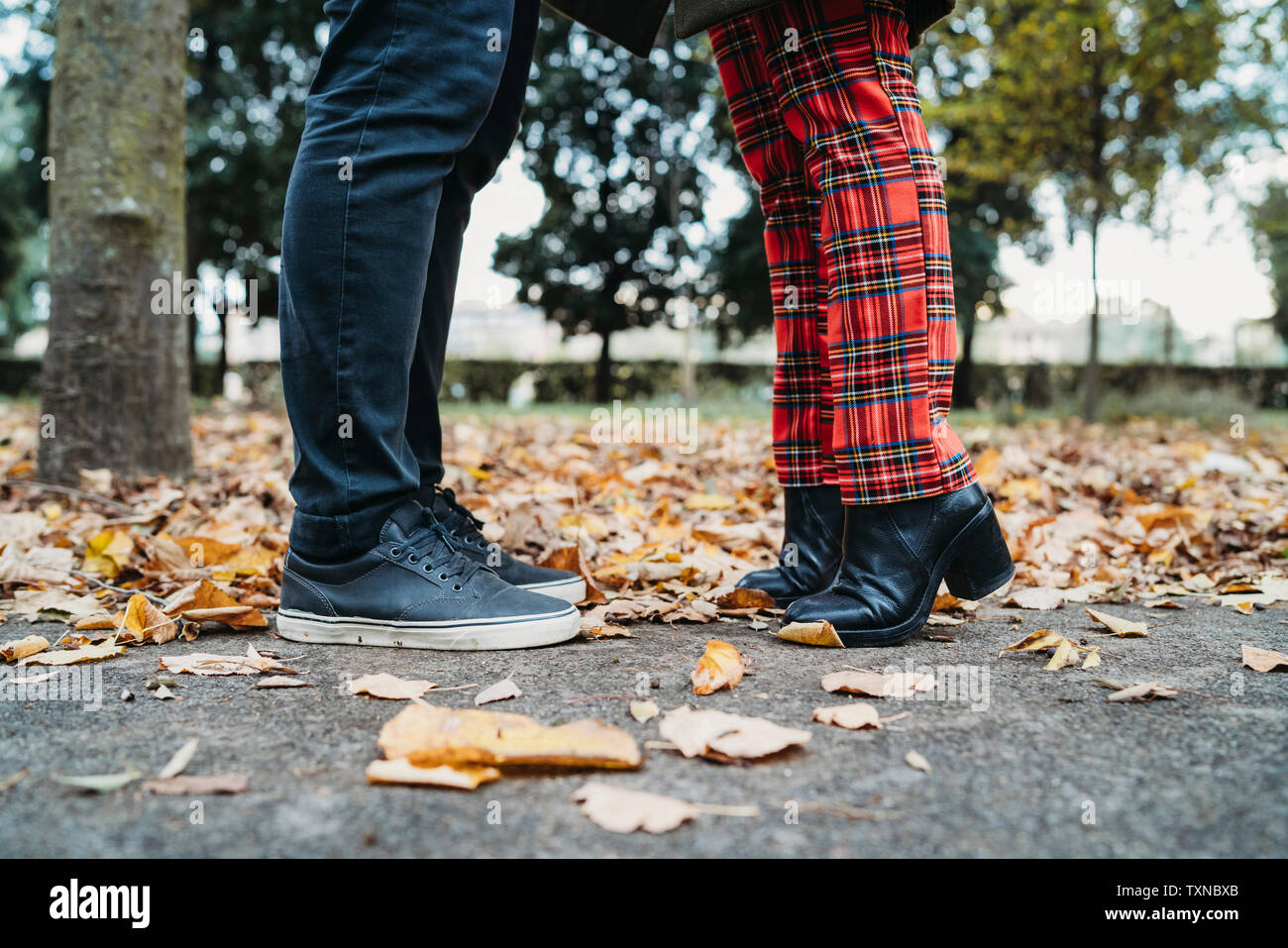 Paar Gesicht im Herbst Park zu Gesicht, Oberfläche der Beine Stockfoto