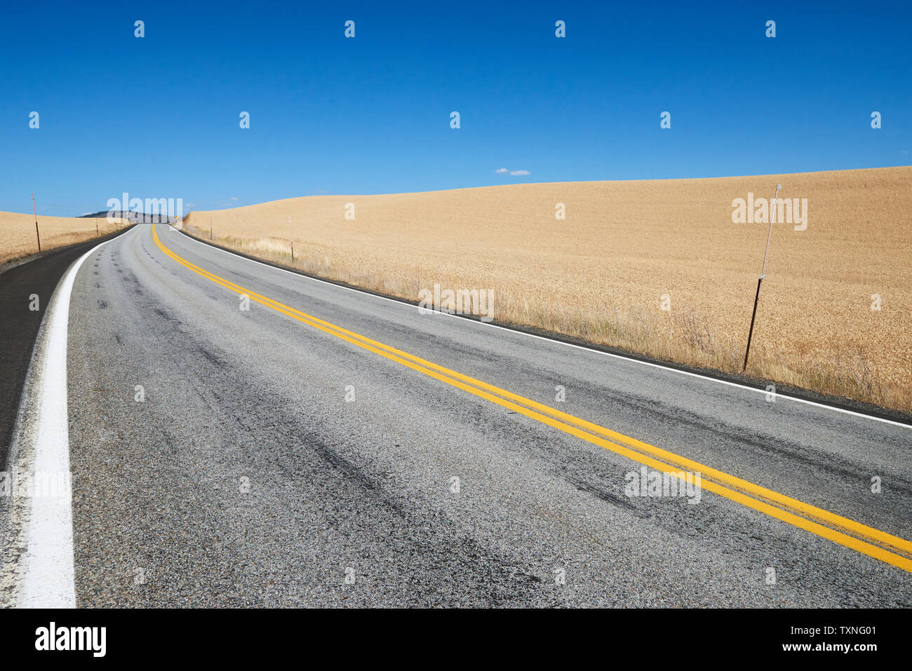 Weizenfeld entlang der Straße in die Landschaft, angespannt, Idaho, USA Stockfoto