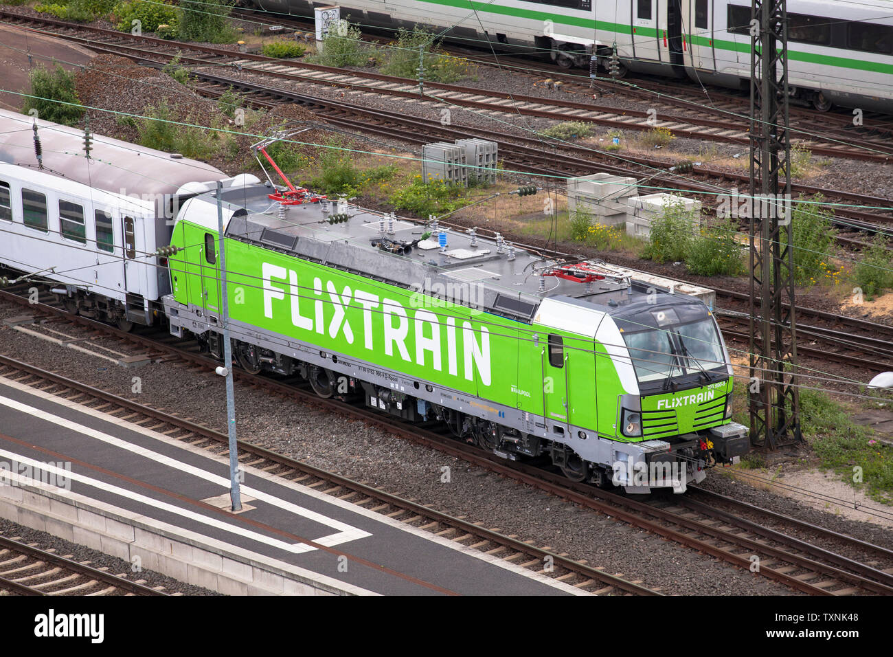 Flixtrain der Firma Flixmobility im Stadtteil Deutz, Köln, Deutschland. Flixtrain des Betreibers Flixmobility im Stadtteil Deutz, Köln, Stockfoto