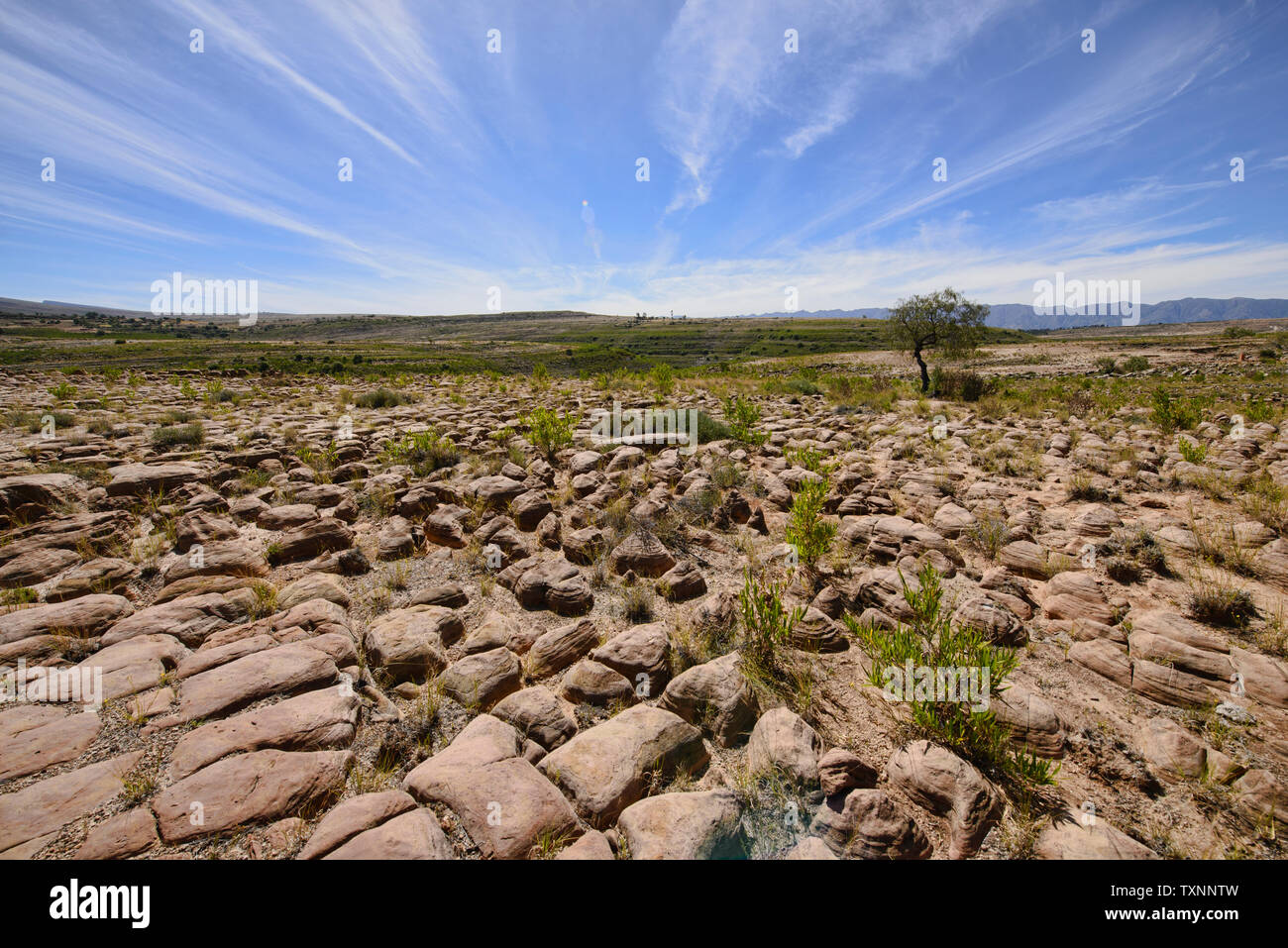 'Mushroom' Formationen und die Siete Vueltas Berge in Torotoro Nationalpark, Torotoro, Bolivien Stockfoto