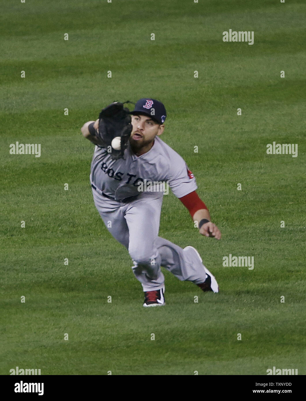 Boston Red Sox Mittelfeldspieler Jacoby Ellsbury fängt eine Fliege Kugel durch Detroit Tiger' Omar Infante im zweiten Inning von Spiel 4 der American League Championship Series hit am Comerica Park in Detroit am 16. Oktober 2013. Die Tiger besiegten die Red Sox 7-3 und band die besten sieben Serie 2-2. UPI/Rebecca Cook Stockfoto