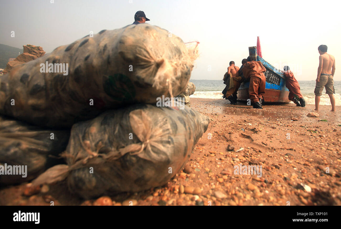 Chinesische Taucher zurück an die Küste nach dem Tauchen 60 Fuß zu Ernte großer Bauernhof - gewachsene Muscheln in der Nähe von Nordosten Hafen des Landes Stadt Dalian am 31. August 2011. Jeder Taucher, der hausgemachte Tauchanzüge und Atmen durch ein kleines Röhrchen mit einem Kompressor auf einem Boot oben schwimmenden angeschlossen sind, kann die Ernte fast 750 Muscheln am Tag. Der Preis ist um 60 Cent eine Muschel. UPI/Stephen Rasierer Stockfoto