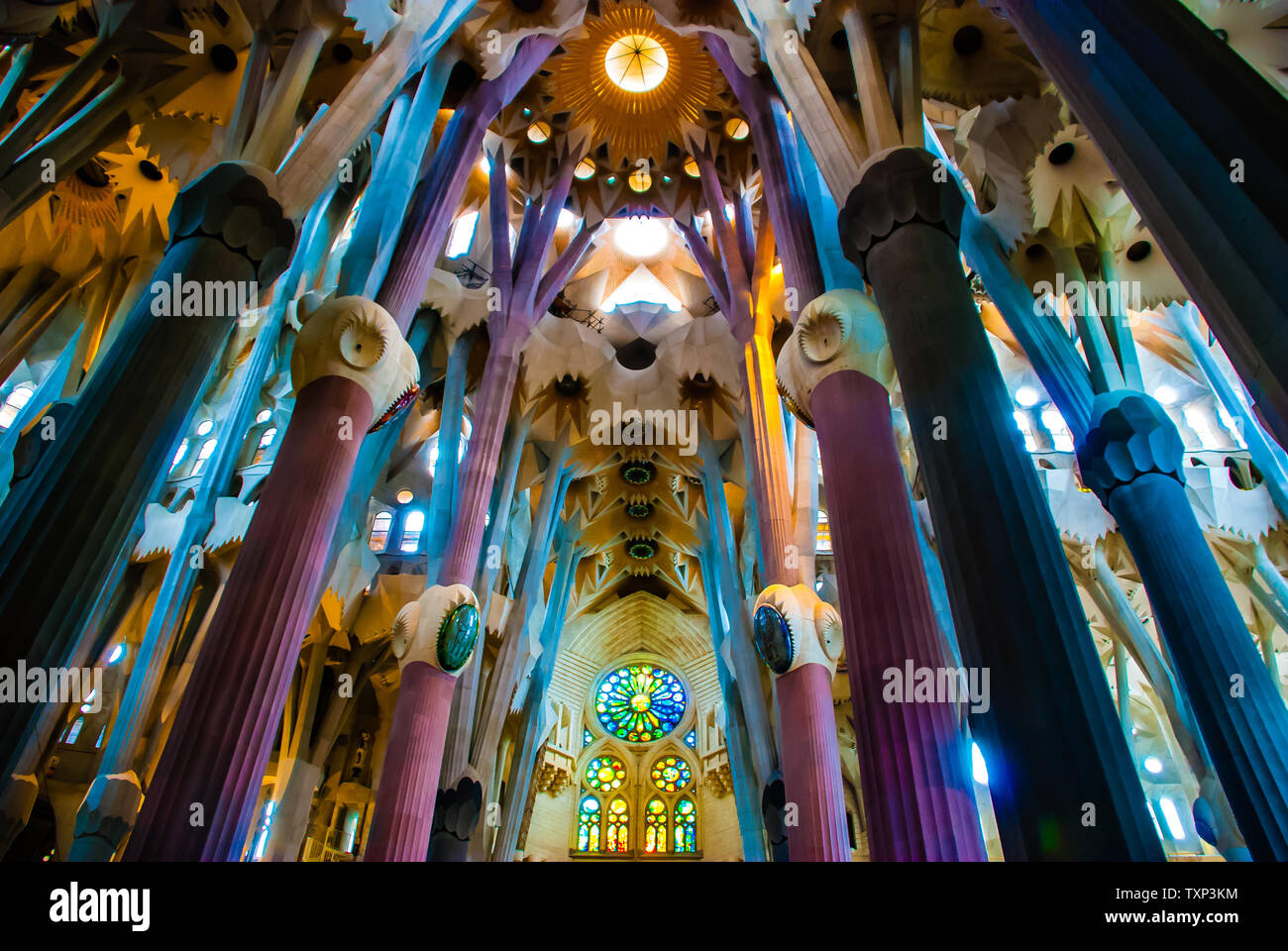 Innenraum der Sagrada Famillia von Gaudi in Barcelona Stockfoto