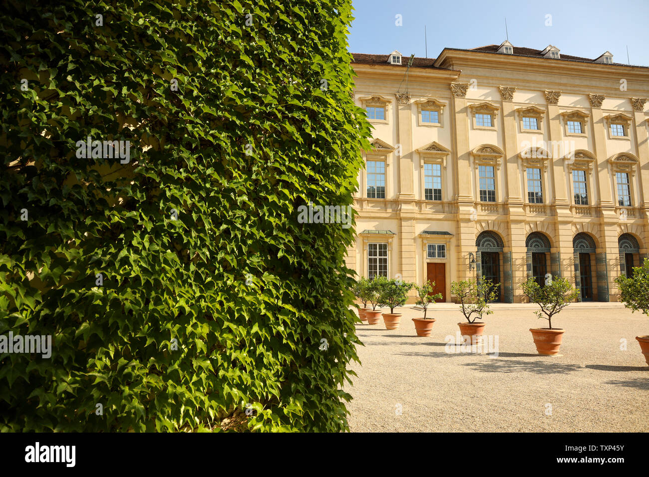 Vorderansicht des Palais Liechtenstein in Wien Stockfoto