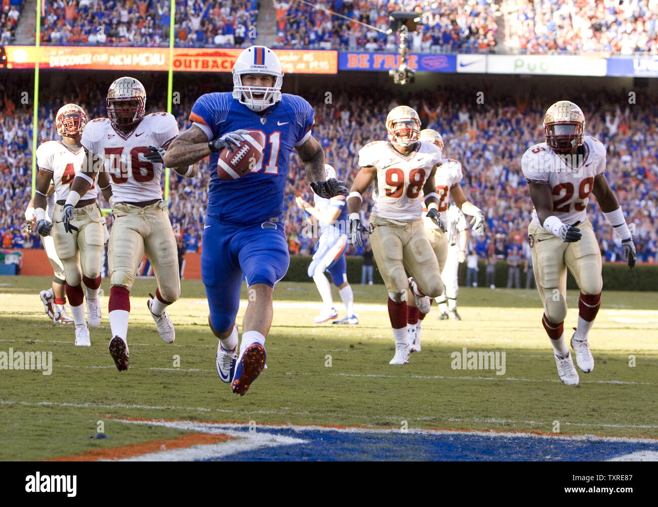 Florida Gator tight end Aaron Hernandez Kerben der erste Touchdown gegen die Florida State Seminoles in der ersten Hälfte des NCAA Football Spiel in Gainesville, Florida, 28. November 2009. UPI/Mark Wallheiser Stockfoto