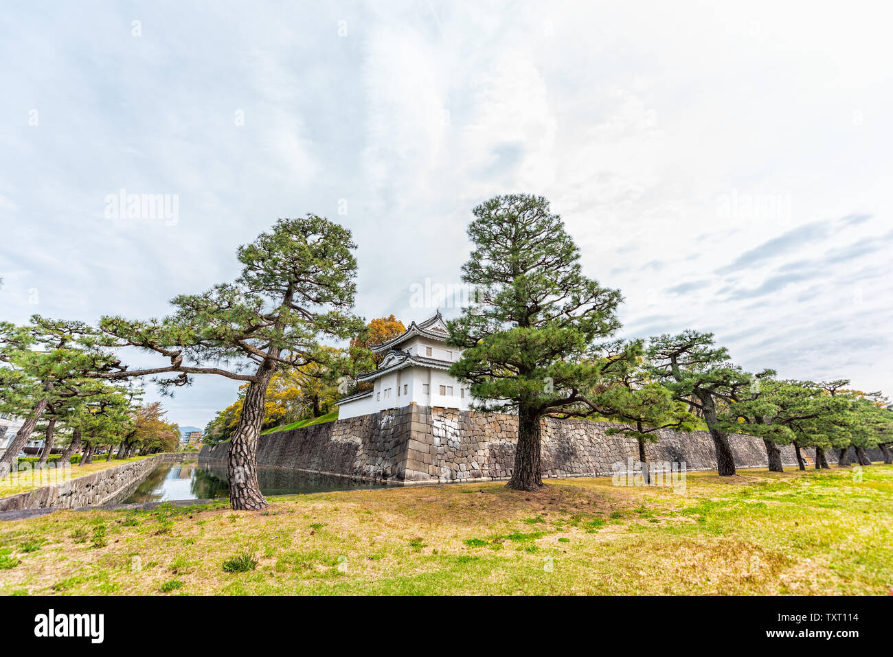 Weitwinkelaufnahme des Nijo Schloss Stadtmauer und Graben im Frühjahr mit beschnitten Bonsai Bäume und Himmel Stockfoto