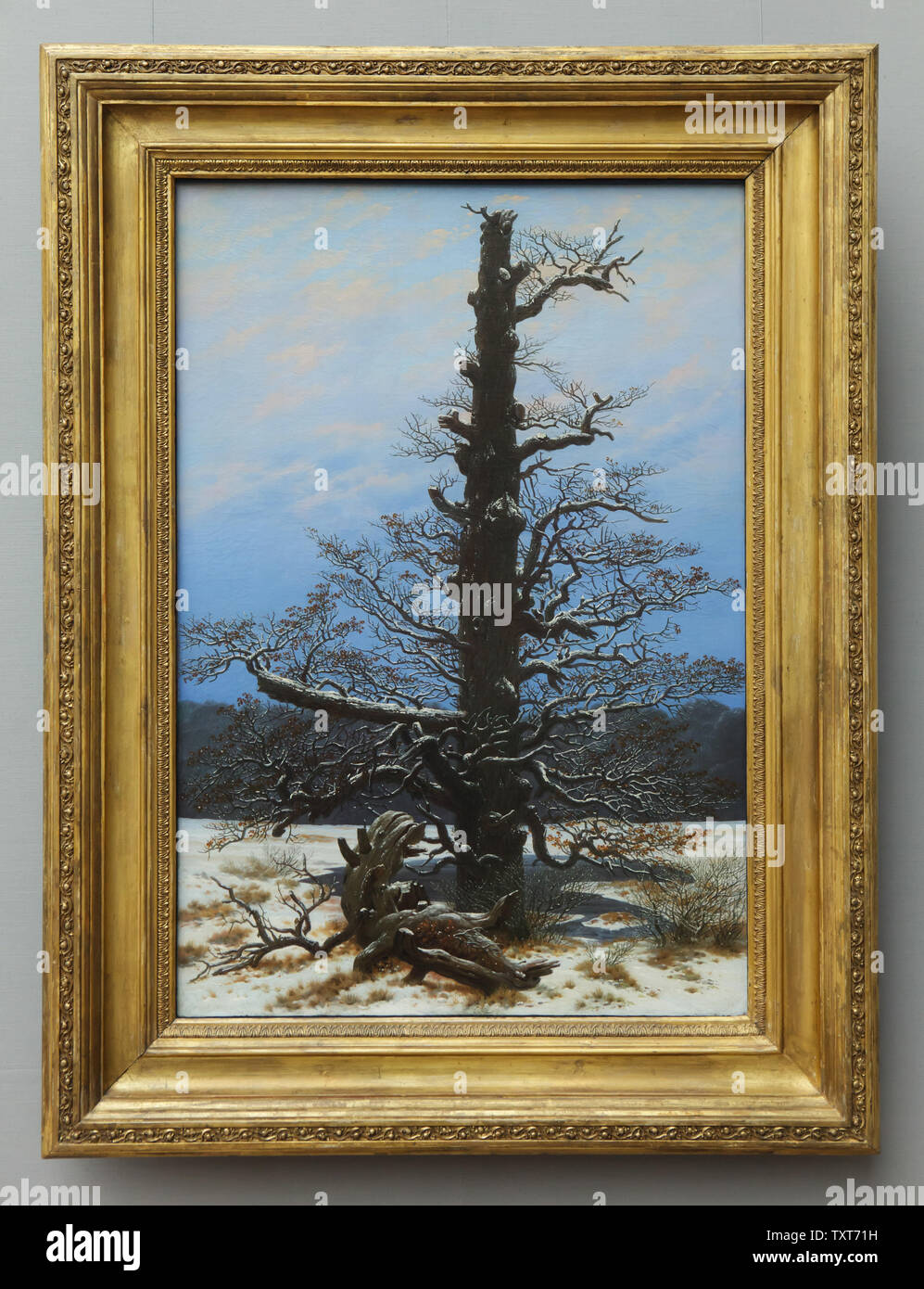 Gemälde "Eiche im Schnee" durch romantische Maler Caspar David Friedrich (1829), das auf dem Display in der Alten Nationalgalerie (Alte Nationalgalerie) in Berlin, Deutschland. Stockfoto