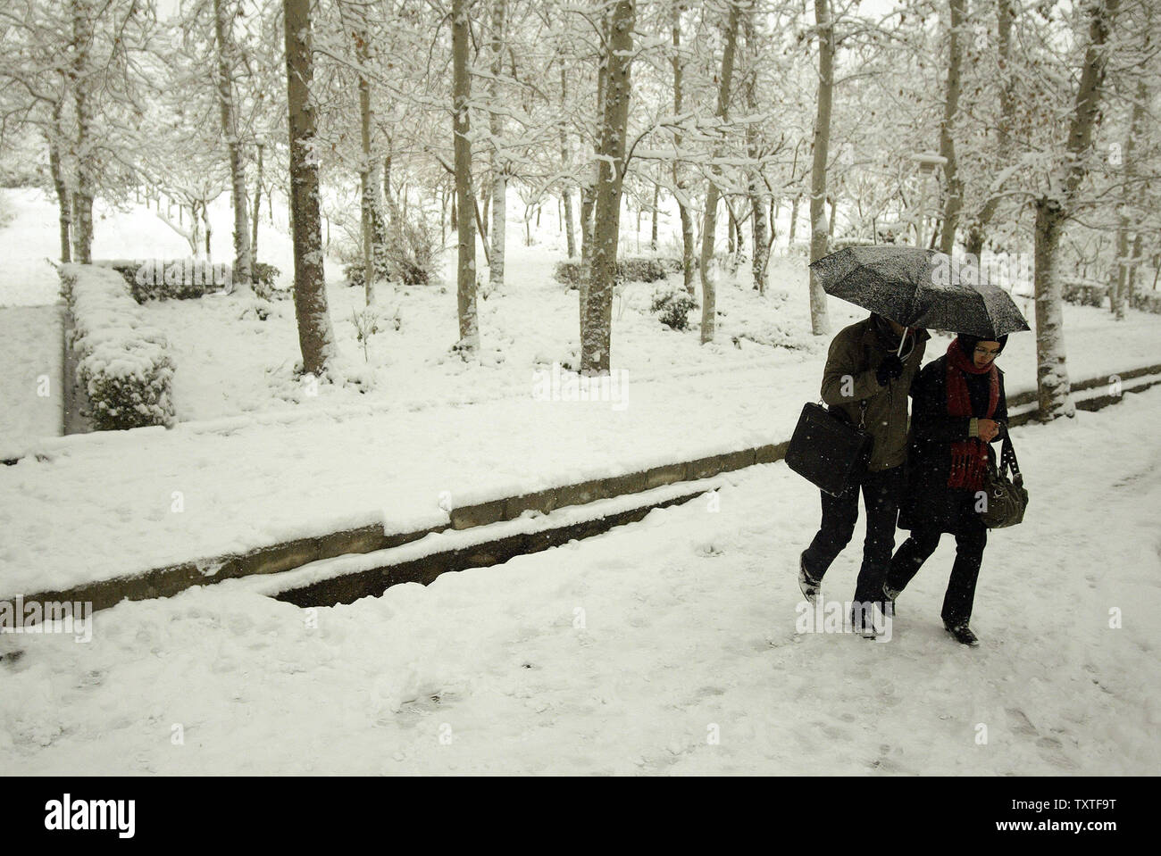 Ein iranisches Paar Schilde selbst mit einem Regenschirm, während Schnee in Laleh Park in Teheran, Iran, am 6. Januar 2008 fällt. Schnee bedeckte Teheran und vielen anderen Städten des Landes führt zu Schließung von Schulen und sogar einige Universitäten sowohl in der Hauptstadt und anderen Städten. Viele Wege führen nach Teheran und die meisten Straßen im ganzen Land, vor allem in den nördlichen, nordwestlichen und westlichen Teilen, haben aufgrund der starken Schneefälle und Schneestürme blockiert. Der Zustand der Luftfahrt Airlines (HOMA) alle inländischen Flüge bis Mitte Tag Sonntag abgebrochen, IRNA berichtet. (UPI Foto/Mohammad Stockfoto