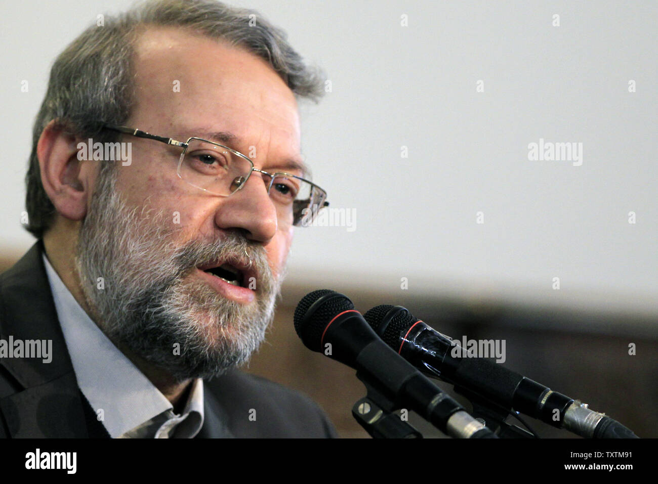 Der iranische Parlamentspräsident Ali Laridschani spricht zu den Medien während der Pressekonferenz in Teheran, Iran, am 3. Dezember 2012. Laridschani sagte Reportern, dass der Iran versucht, zu verhindern, um weiteres Blutvergießen in der Region durch Verhandlungen über die anhaltende Krise in Syrien. UPI/Maryam Rahmanian Stockfoto