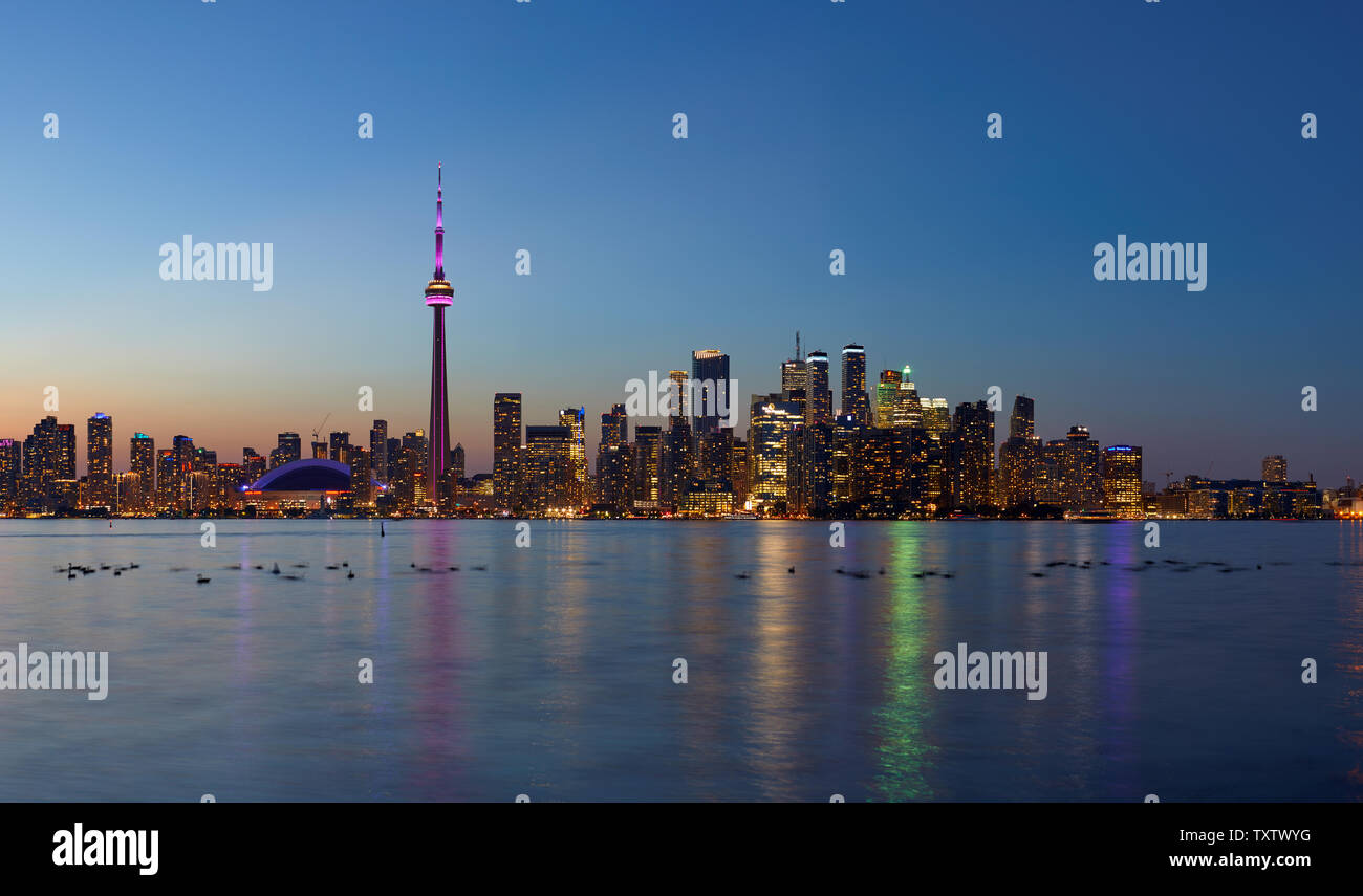 Skyline von Toronto mit den berühmten CN Tower, Ontario, Kanada Stockfoto