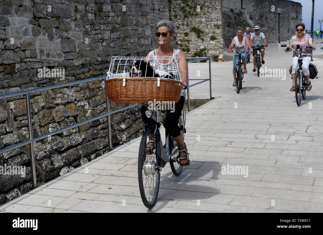 Haustiere auf Urlaub Frau Reiten Fahrrad mit Hund im Korb Porec, Kroatien Stockfoto