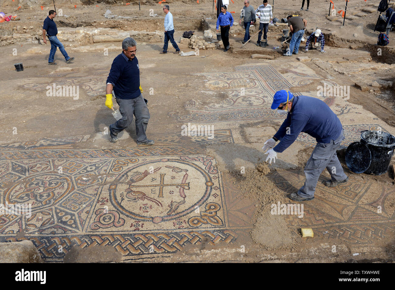 Arbeiter von der Israel Antiquities Authority die Arbeit an einem großen bunten Mosaik mit alten Inschriften, die in die Überreste eines großen byzantinischen Kirche gefunden wurde, ca. 1.500 Jahre alt, bei Ausgrabungen von der Israel Antiquities Authority in Moshav Aluma, im Süden Israels, 22. Januar 2014. Das Mosaik ist ein Christogram, mit einem Kreuz - wie Abbildung, dass symbolisiert Jesus Christus, und Vögel Anheben das Symbol in den Himmel. Die griechischen Buchstaben Alpha und Omega sind auch in der Mosaik gefunden. Die Kirche ist 22 Meter lang und 12 Meter breit und war Teil eines großen und bedeutenden Byzantinischen settlem Stockfoto