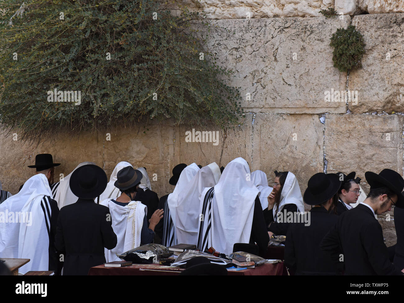 Ultra-orthodoxe Juden beten um Vergebung am Vorabend von Rosch Haschanah, das Jüdische Neue Jahr, während der selichot Gebete in der Dämmerung an der westlichen Mauer, der heiligste Ort im Judentum, in der Altstadt von Jerusalem, 13. September 2015. Rosch Haschanah beginnt bei Sonnenuntergang am 13. September und ist ein Feiertag, der Schöpfung der Welt zelebriert und ist eine Zeit der Reflexion und Vergebung für religiöse Juden. Foto von Debbie Hill/UPI Stockfoto