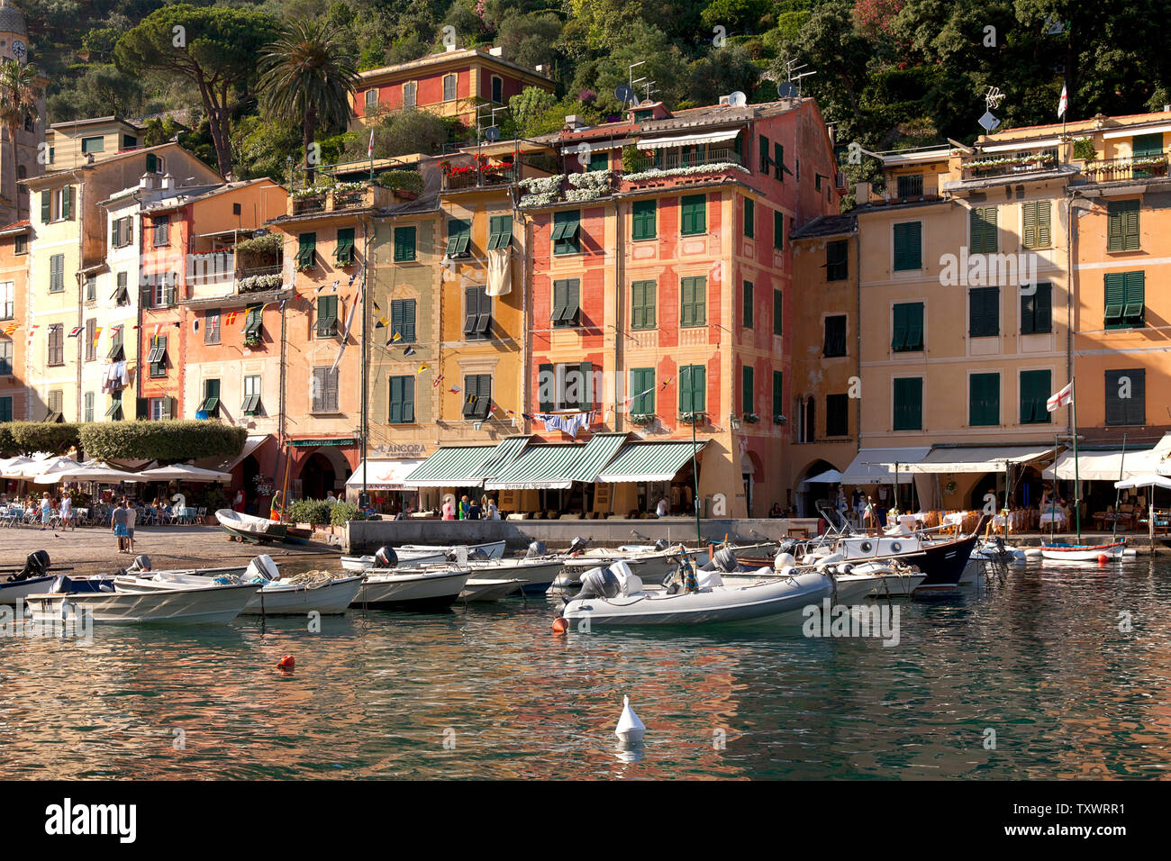 Eine warme, am späten Nachmittag Sonne badet Portofino's Hafen. In diesem italienischen Fischerdorf und Ferienort ist berühmt für seine malerischen Hafen und die hist Stockfoto