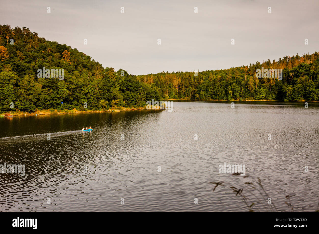 Moldau in der Nähe von Zvíkovské Podhradí, Tschechische Republik Stockfoto