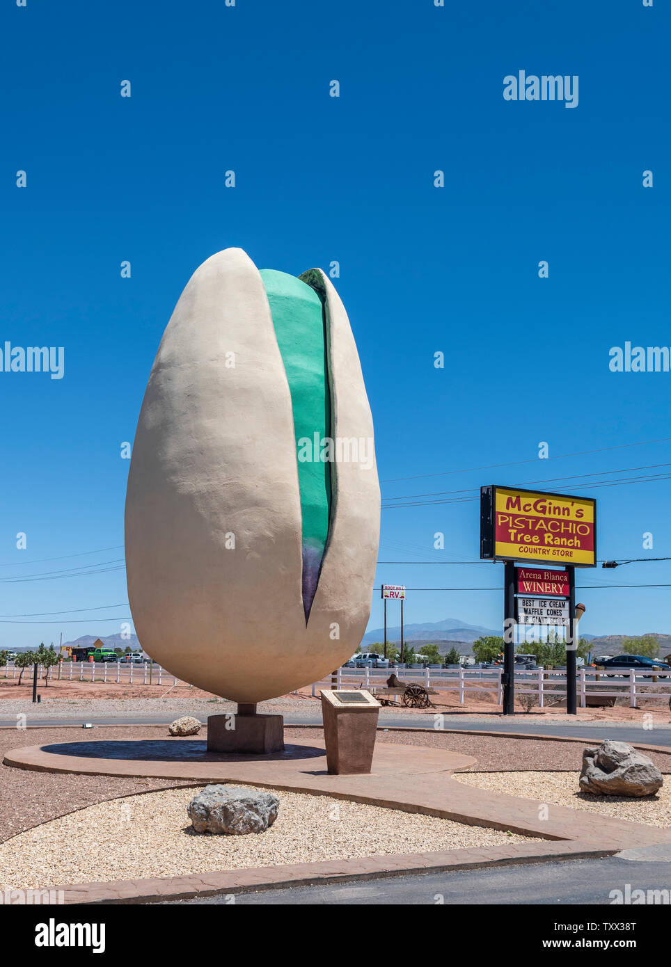 Alamogordo, New Mexico, riesige Pistazie, weltgrößte Pistazien am Straßenrand Attraktion bei McGinns's Pistazien Ranch. Stockfoto
