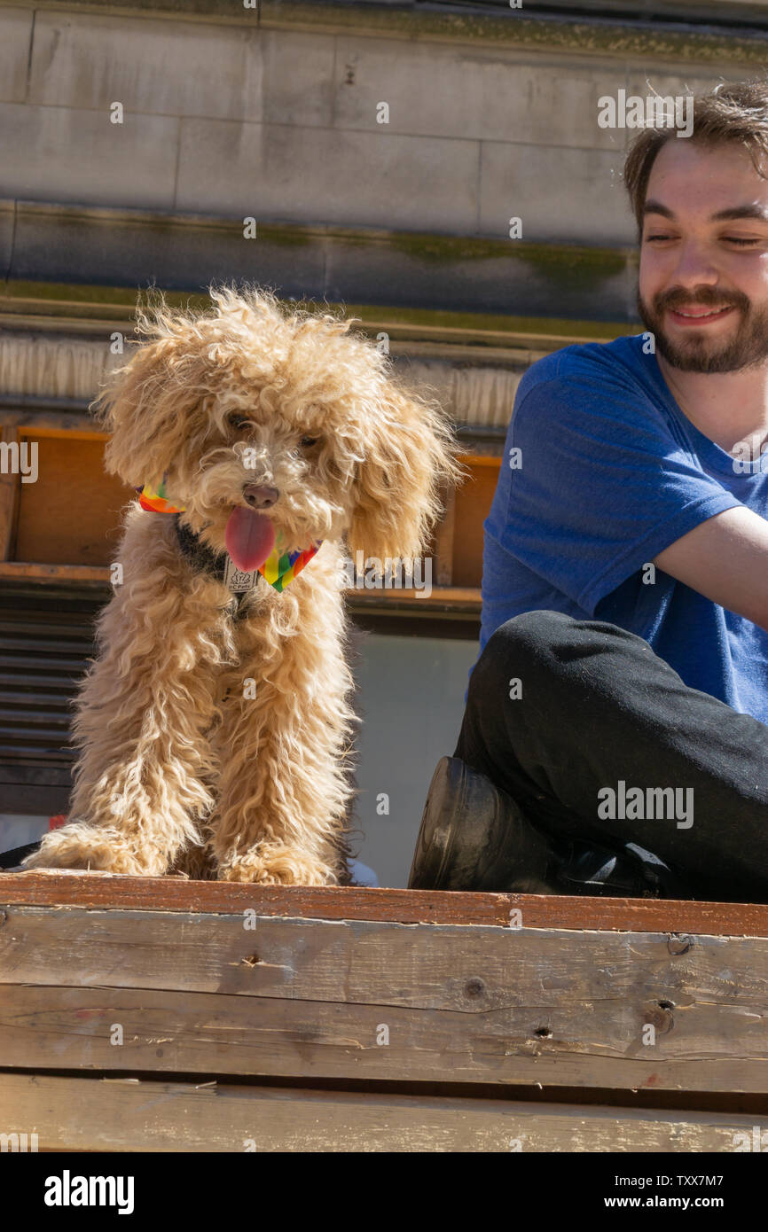 Happy puppy feiern Stolz mit stolzen Hund Eltern! Stockfoto