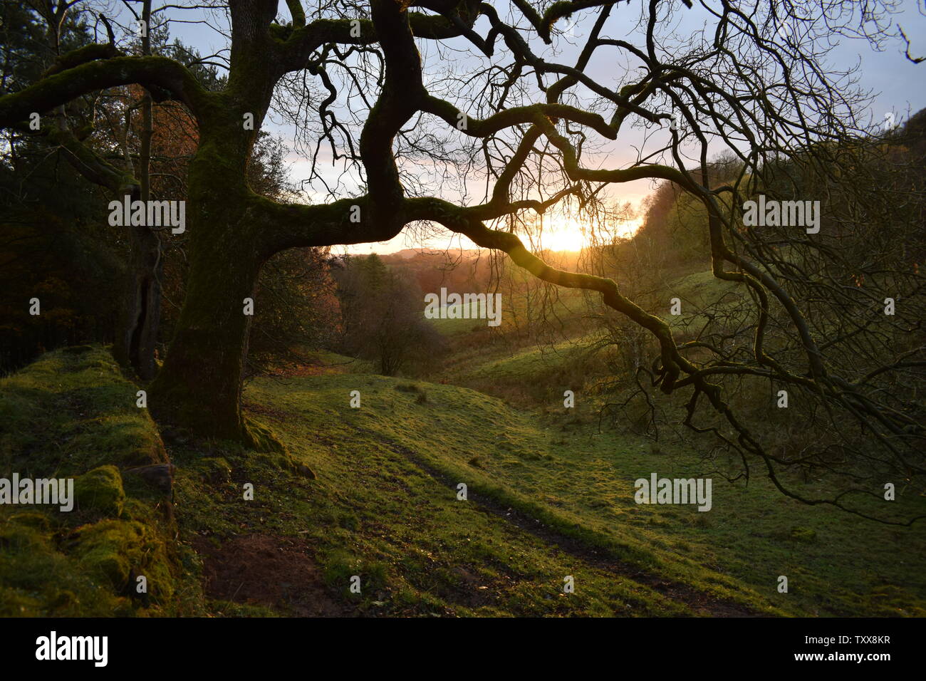 Sonnenaufgang im Tal Stockfoto