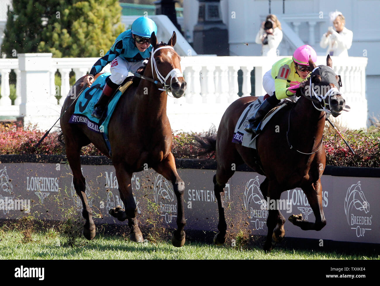 Jockey Drayden Van Dyke Fahrten stürmischen Liberale zum Sieg in der 2018 Breeders' Cup Turf Sprint in der Churchill Downs in Louisville, Kentucky, November 3, 2018. Foto von John Sommers II/UPI Stockfoto