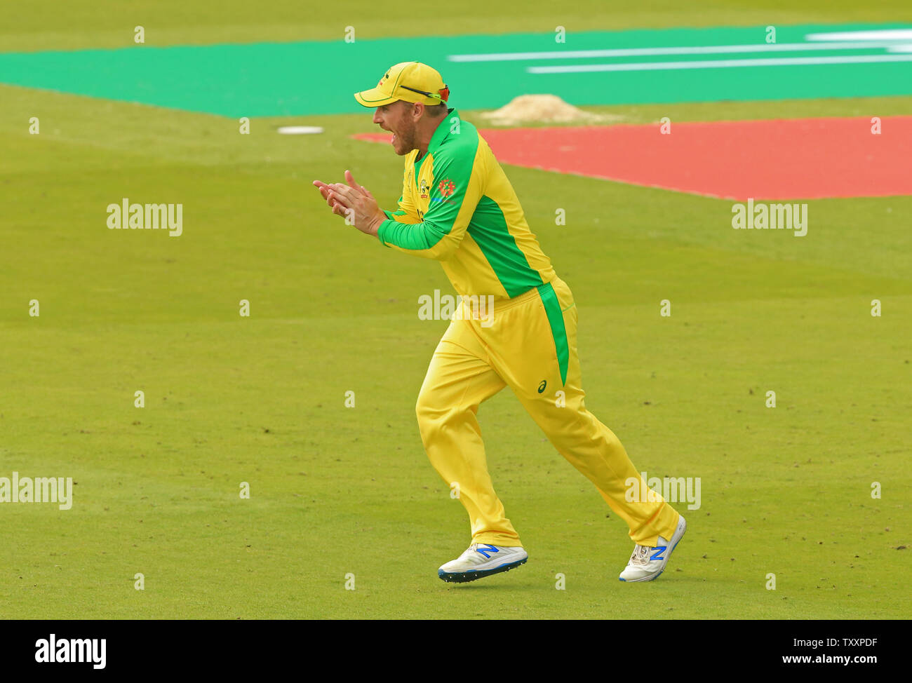 London, Großbritannien. 25. Juni 2019. Aaron Finch von Australien feiert seine Mannschaft während des England v Australia, ICC Cricket World Cup Match, an den Lords in London, England. Credit: Cal Sport Media/Alamy leben Nachrichten Stockfoto