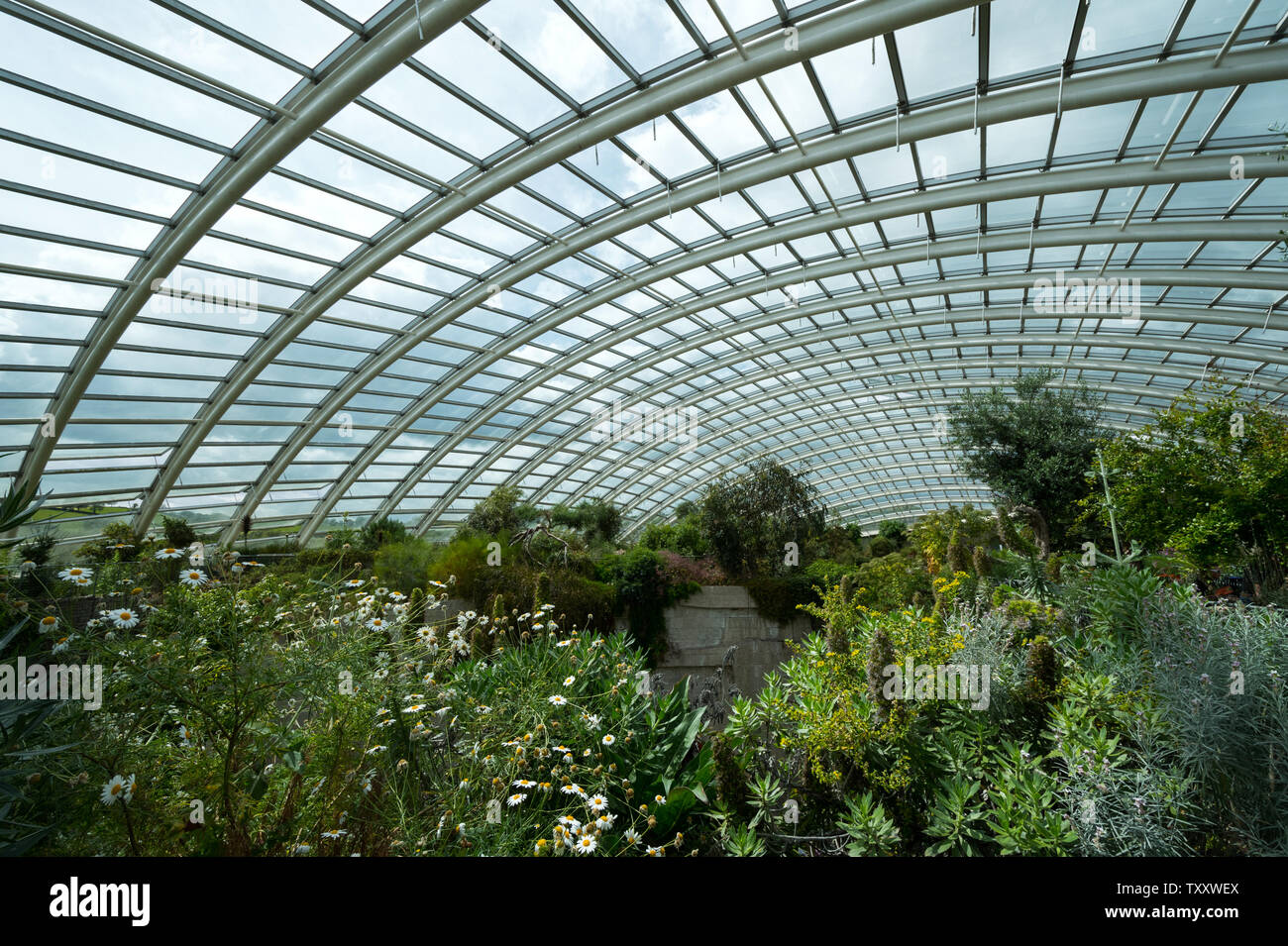 National Botanic Garden of Wales, Großbritannien Stockfoto