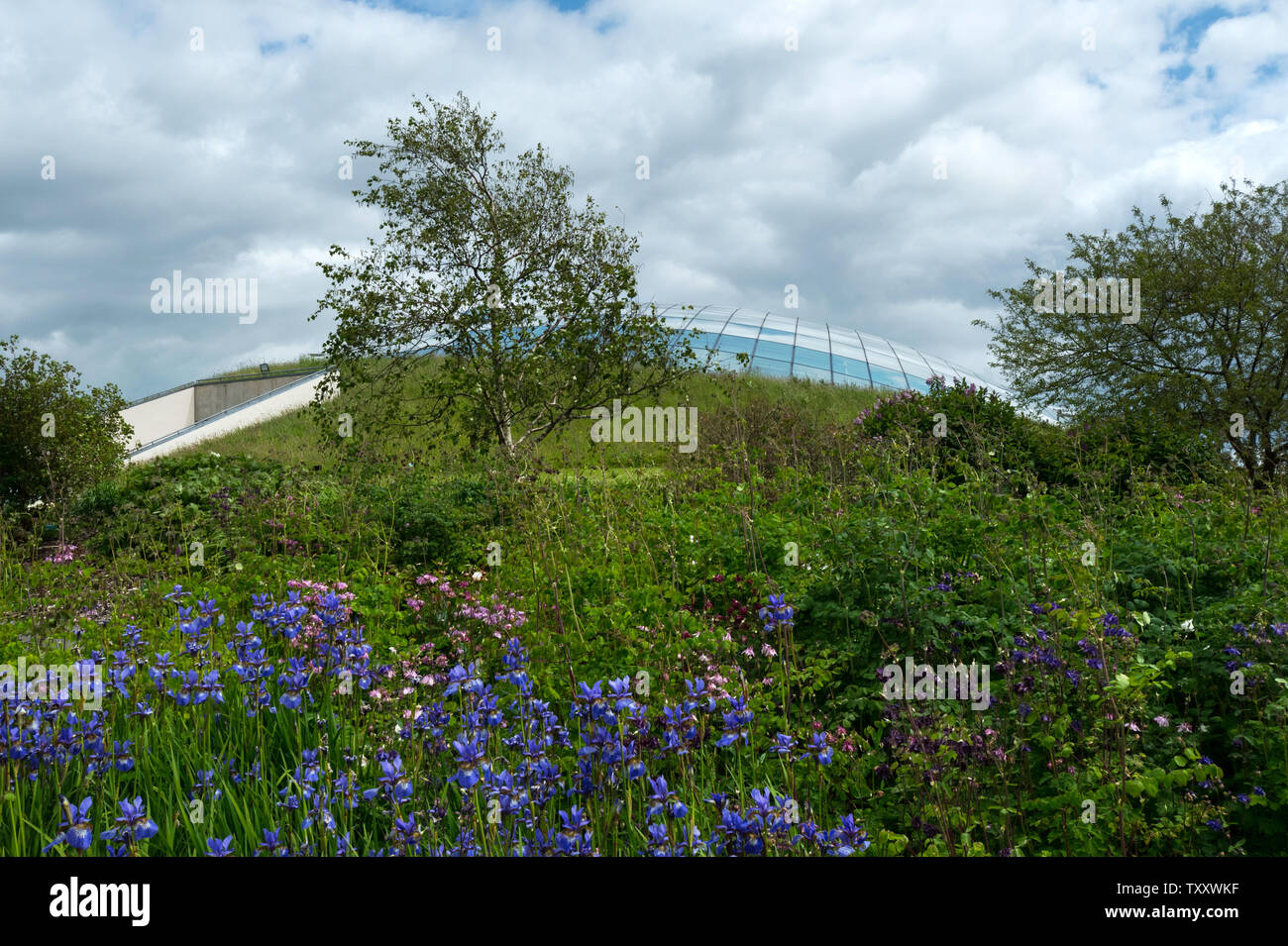 National Botanic Garden of Wales, Großbritannien Stockfoto