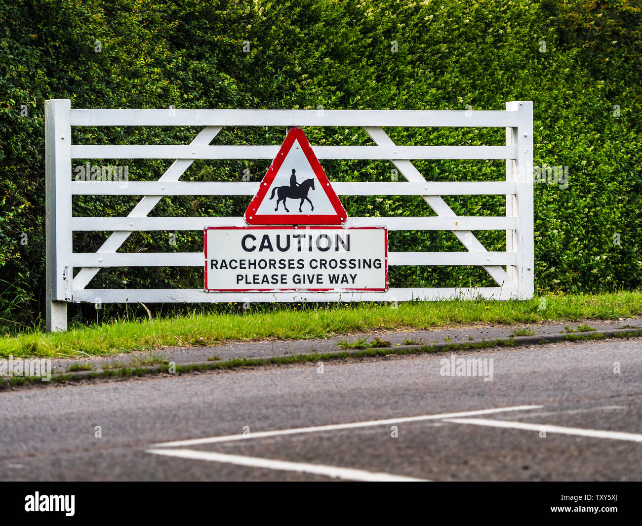 Rennpferde Rennpferde Kreuzung überqueren - Vorsicht Bitte geben Sie Art und Weise Zeichen warnen Pflege in Newmarket, Suffolk UK HQ der British Horseracing zu nehmen Stockfoto