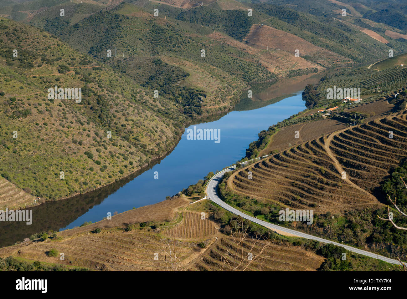 Blick auf den Fluss Douro mit terrassierten Weinberge in der Nähe der Ortschaft Foz Coa, in Portugal; Konzept für Reisen in Portugal und schönsten Plätze im Hafen Stockfoto