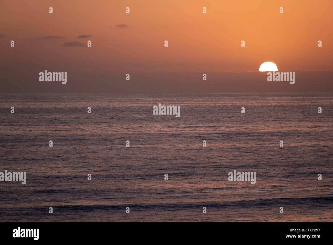 Vögel im Flug über dem Pazifischen Ozean Stockfoto