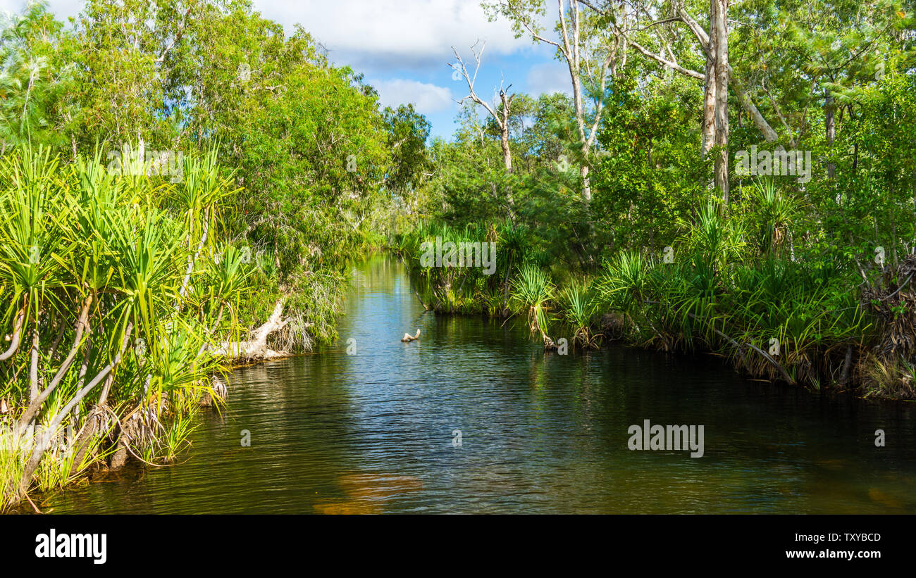 Edith Falls Nationalpark - Northern Territory - Australien Stockfoto