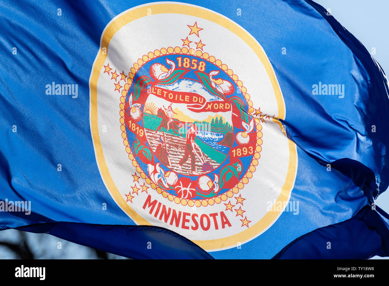 Staatsflagge von Minnesota, Vereinigte Staaten von Amerika, USA, von Dominique Braud/Dembinsky Foto Assoc Stockfoto