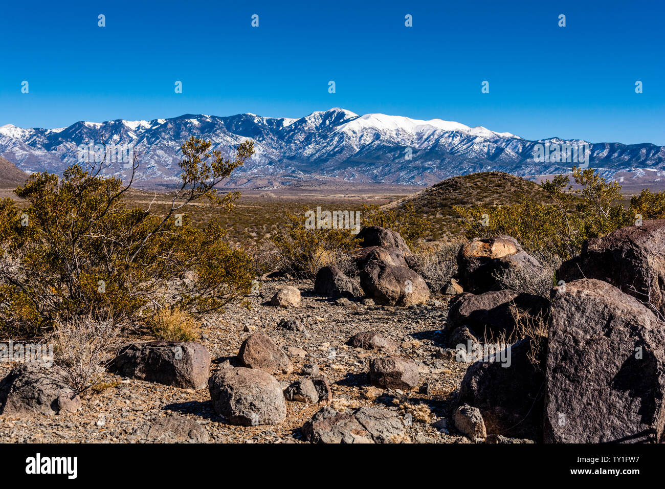 Three Rivers Petroglyph Site zwischen Tularosa tat und Carrizozo, schneebedeckte Sierra Blanca Türme im Osten, Otero County, New Mexico, USA. Stockfoto
