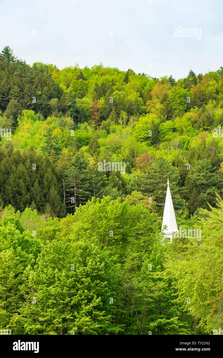 Kirchturm und neue Feder Blätter, Vermont Stockfoto