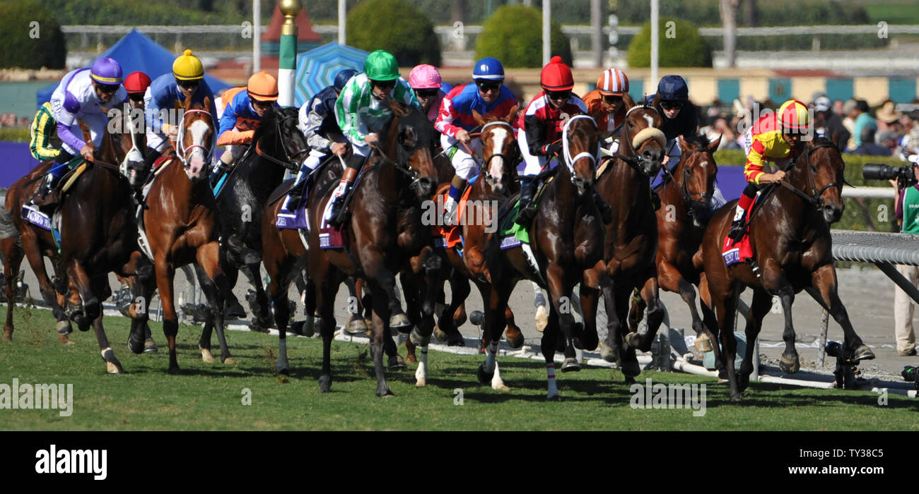 Das Feld der Pferde geht in die erste Runde der Jugendlichen Rasen Grad 1 Rennen der Brüter-Schale Weltmeisterschaften in Santa Anita Park in Arcadia, Kalifornien November 3, 2012. UPI/Kunst Foxall Stockfoto