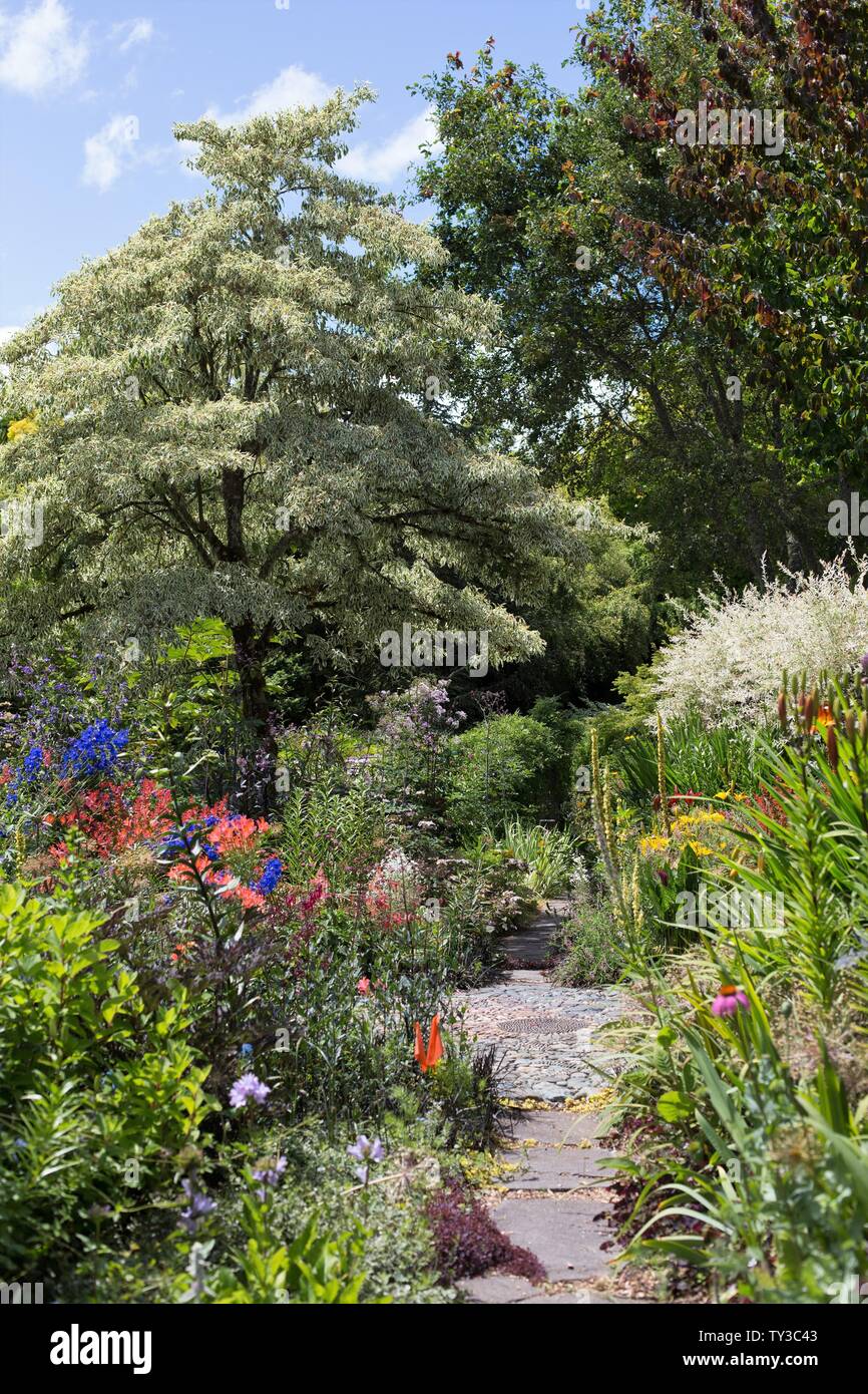 Einen Weg durch eine Blume Garten im Sommer, in Eugene, Oregon, USA. Stockfoto