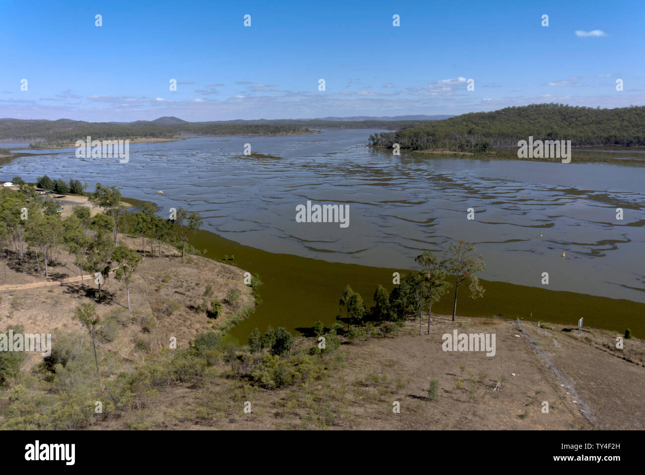 Algen auf der paradiesischen Dam in der Nähe von Biggenden Queensland Australien Stockfoto