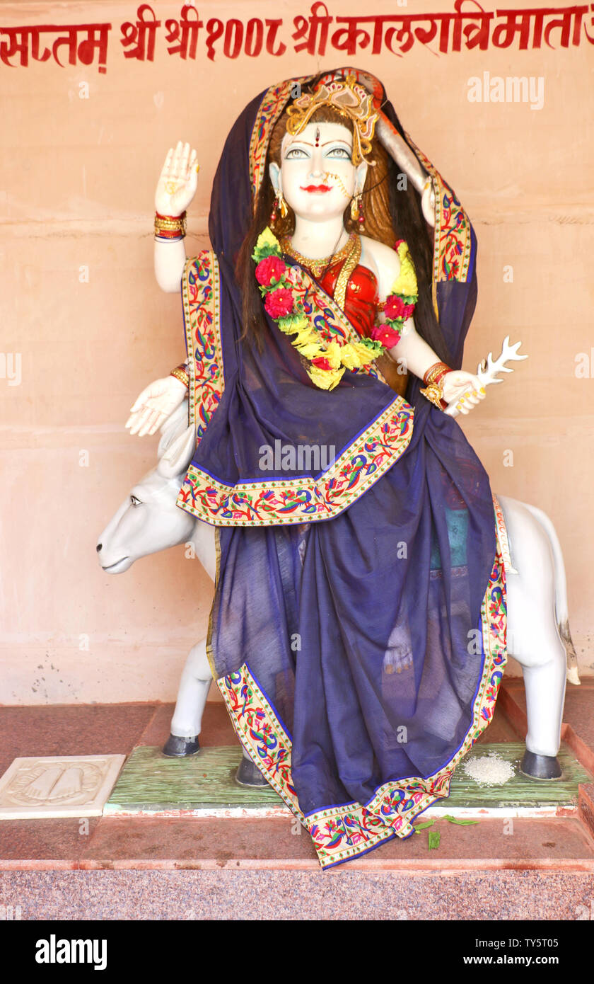 Hind Gottheit: Lord Shiva, Rama, Krishna, Durga, neun Gottheit Stockfoto