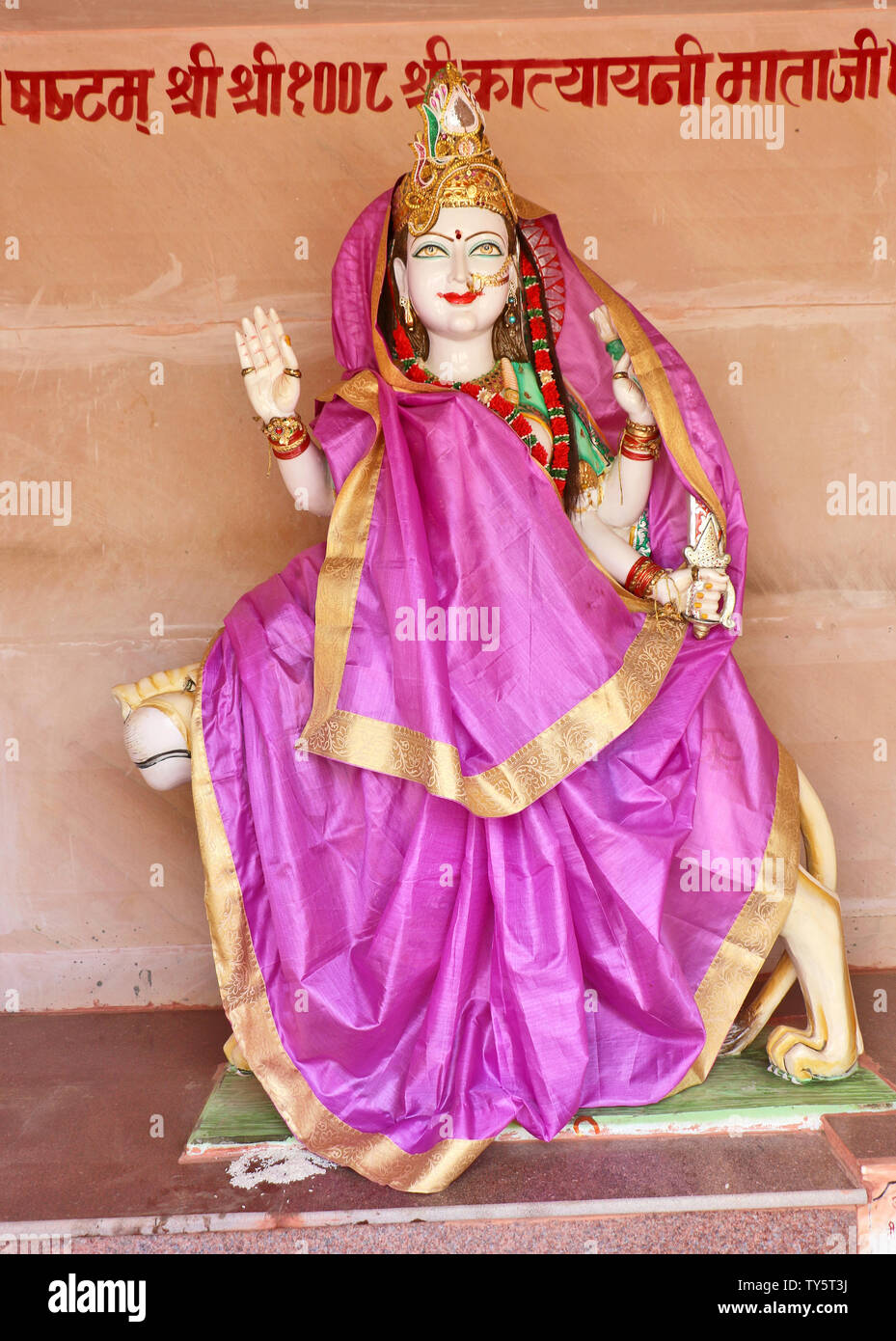 Hind Gottheit: Lord Shiva, Rama, Krishna, Durga, neun Gottheit Stockfoto