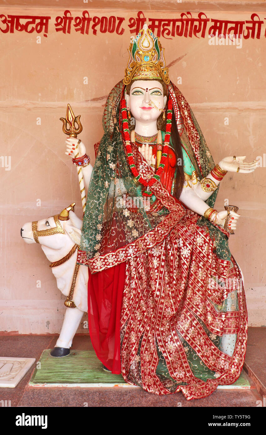 Hind Gottheit: Lord Shiva, Rama, Krishna, Durga, neun Gottheit Stockfoto