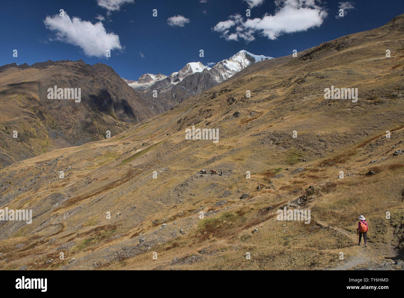 Trekking in der Cordillera Real mountain range, Bolivien Stockfoto