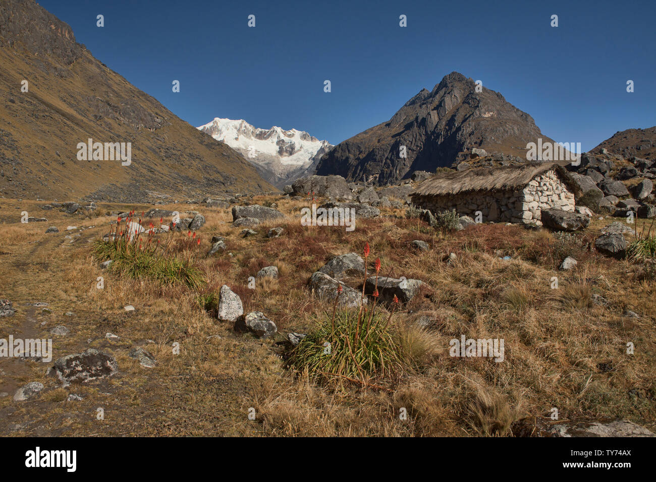 Traditionelle Hütte aus Stein in den hohen Anden entlang der Cordillera Real Traverse, Bolivien Stockfoto