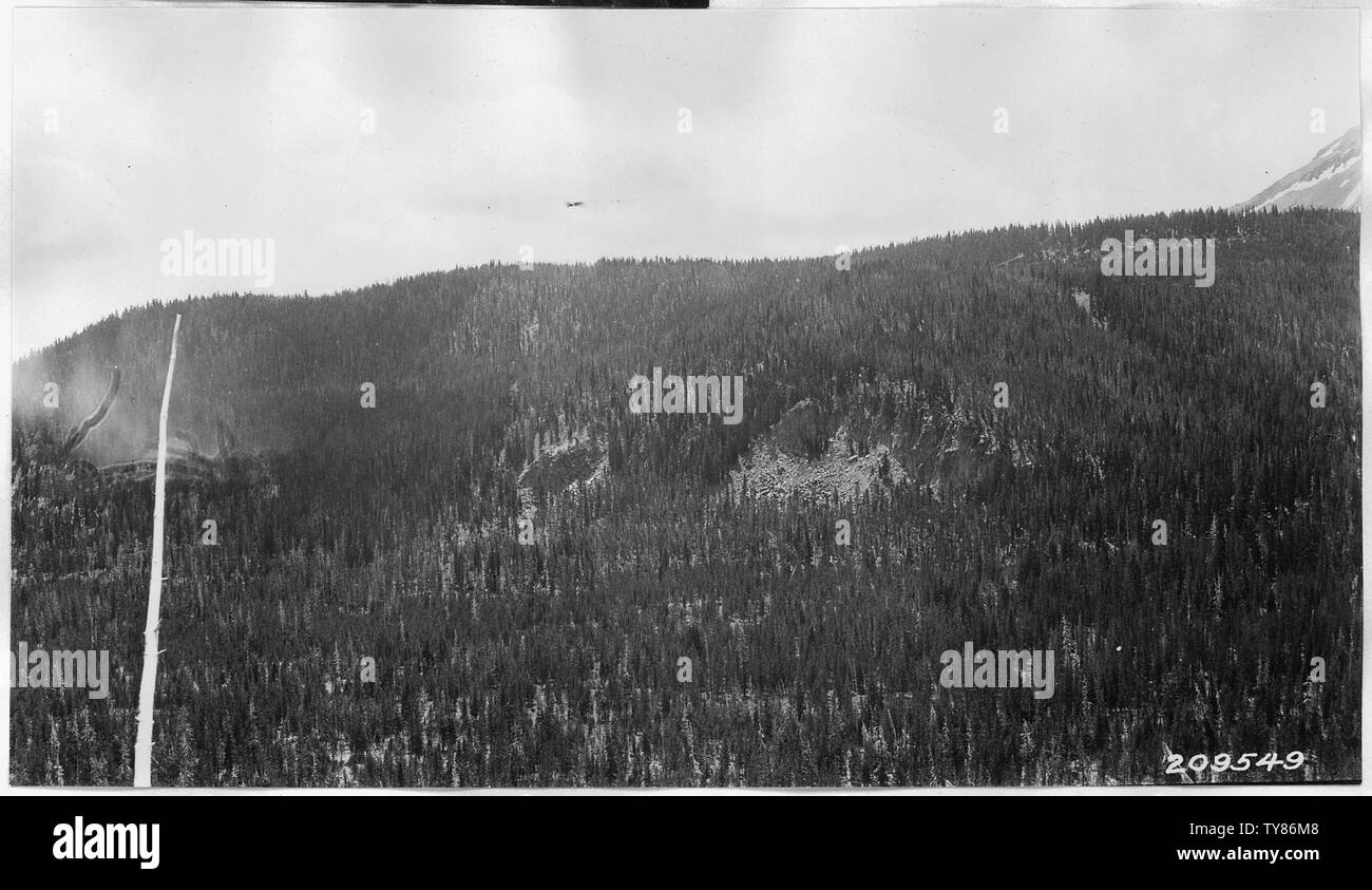 Sieht aus Süden 25 Grad E über Kopf von Bear Creek zu Scott Bluffs und unteren Hang des Mount Scott. Zeigt lodgepole Pine Flat und Fichte und Hemlock an Hängen.; Umfang und Inhalt: Serie enthalten eine Reihe von Berichten über Grenzen und verschiedene Parks. Viele dieser Fotos. Stockfoto