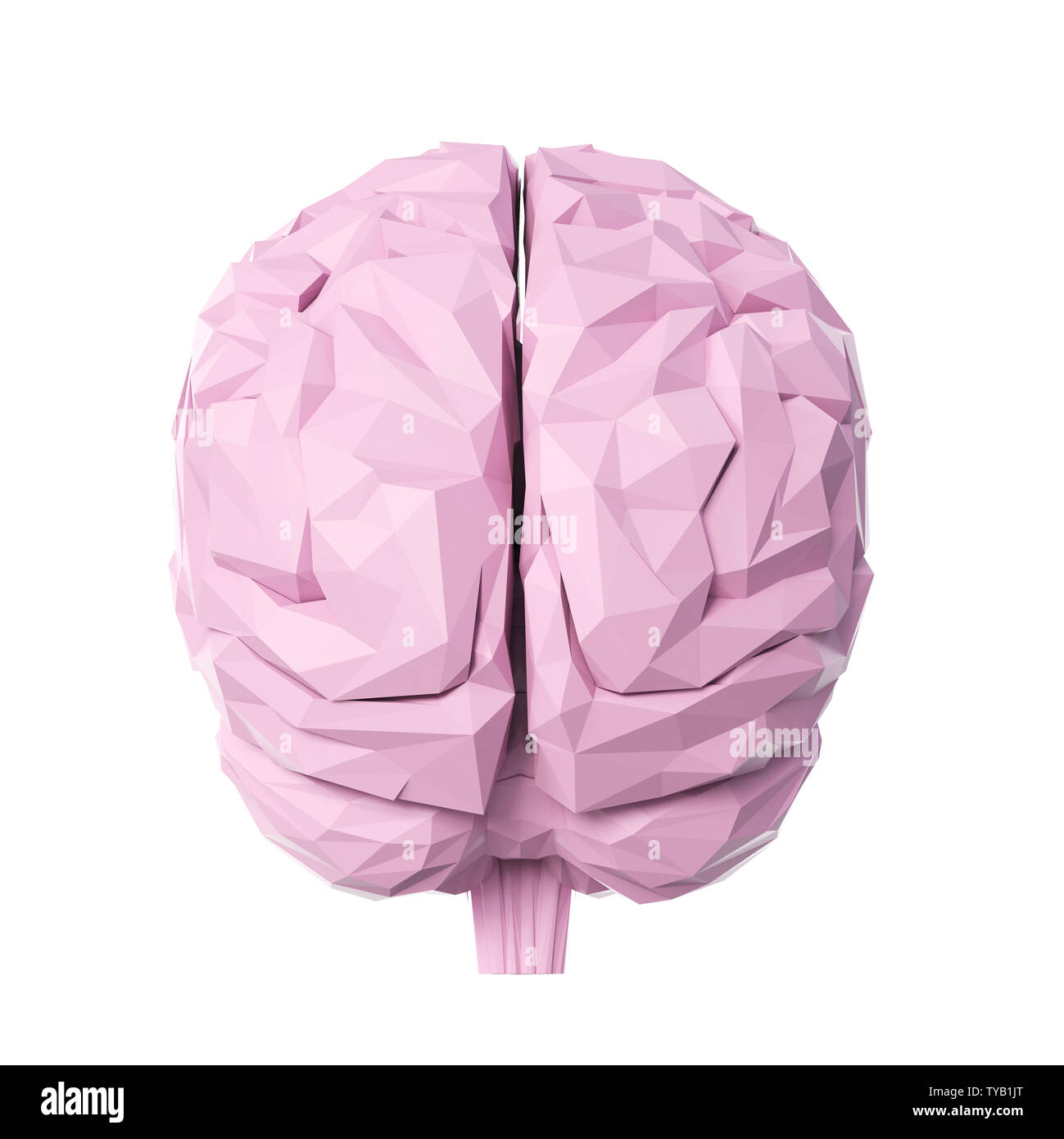 3D-gerenderte Medizinisch genaue Abbildung eines Poly style Gehirn Stockfoto