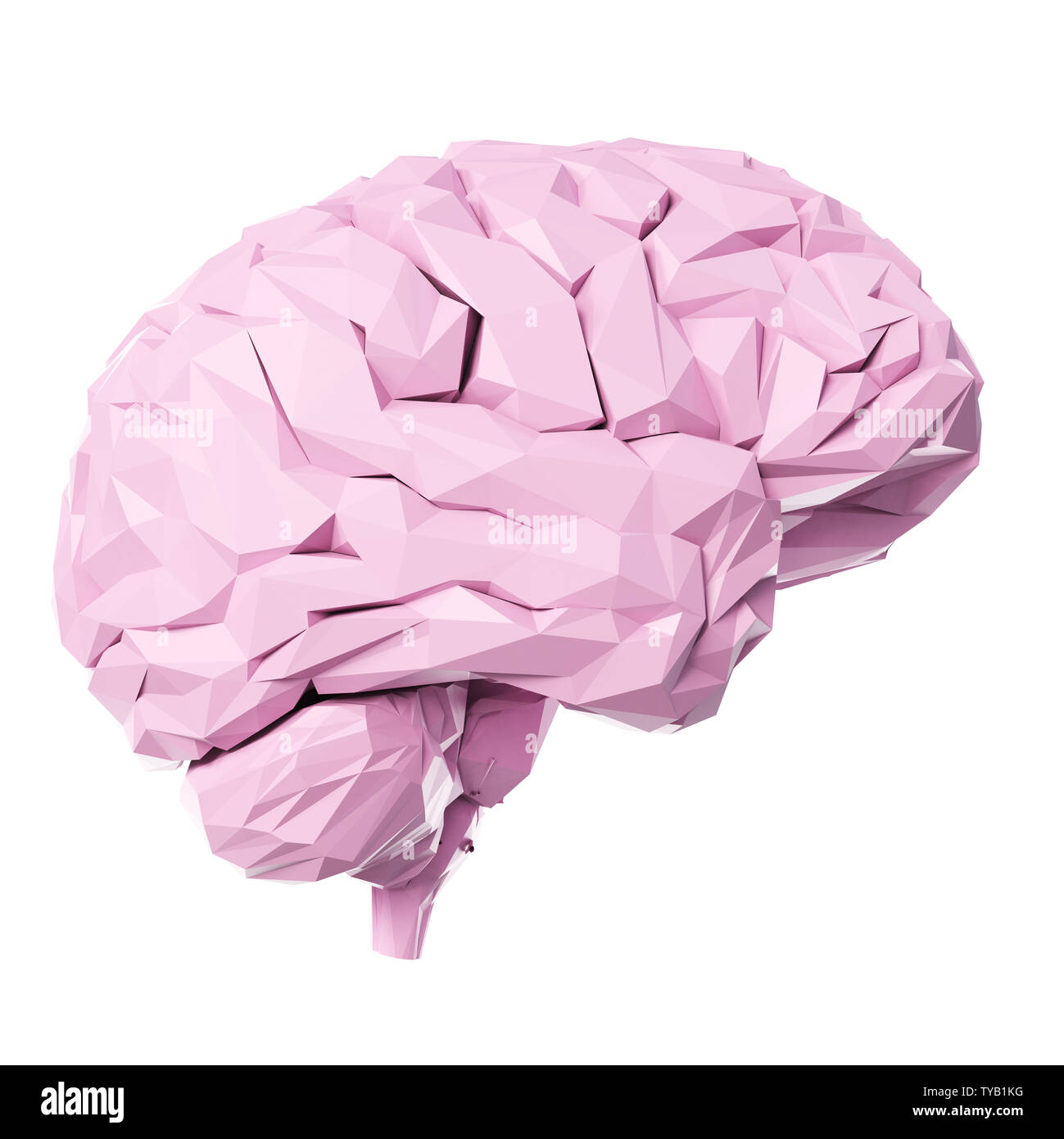 3D-gerenderte Medizinisch genaue Abbildung eines Poly style Gehirn Stockfoto