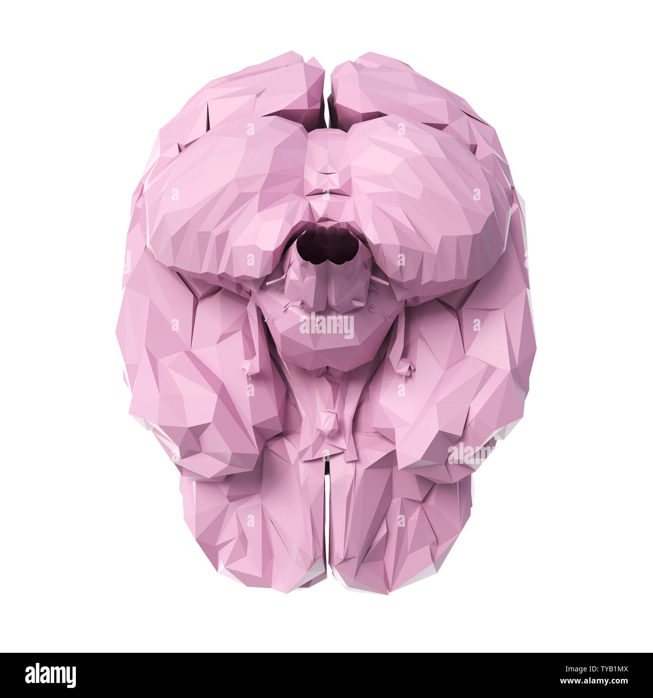 3D-gerenderte Medizinisch genaue Abbildung eines Poly style Gehirn Stockfoto