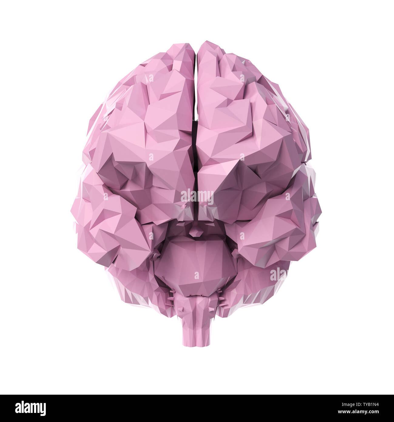 3D-gerenderte Medizinisch genaue Abbildung eines Poly style Gehirn Stockfoto