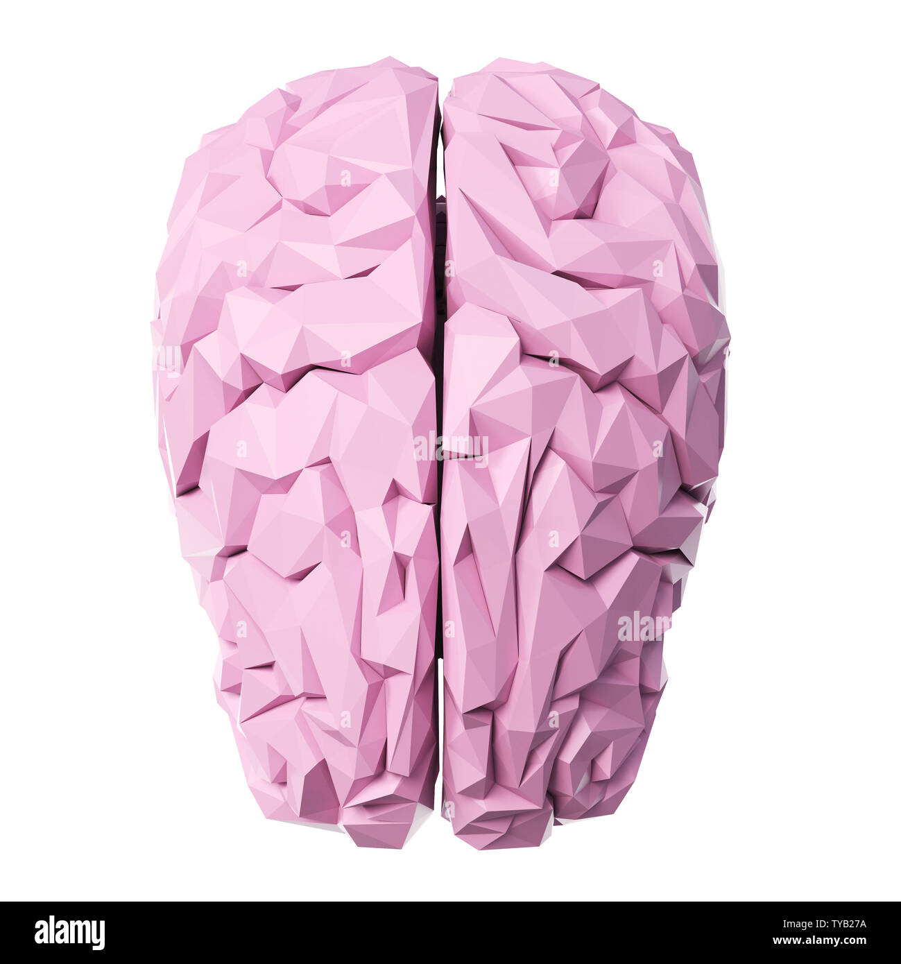 3D-gerenderte Medizinisch genaue Abbildung eines Poly style Gehirn Stockfoto