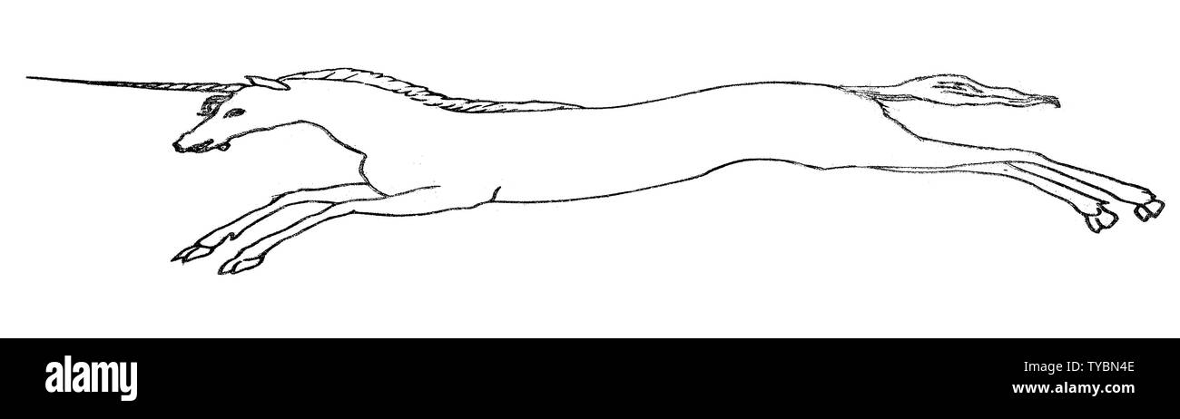 Skizze Skizze eines weißen Einhorn auf weißem Hintergrund Stockfoto